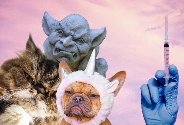 türkiye sağlık ocağı komik